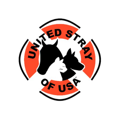 Simple Minimalist One Line Dog Cat Logo - 3